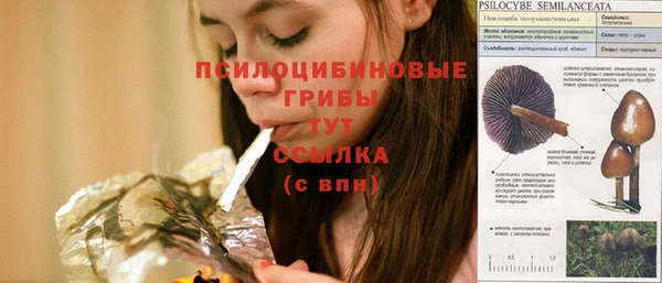 соль курить ск Алексеевка