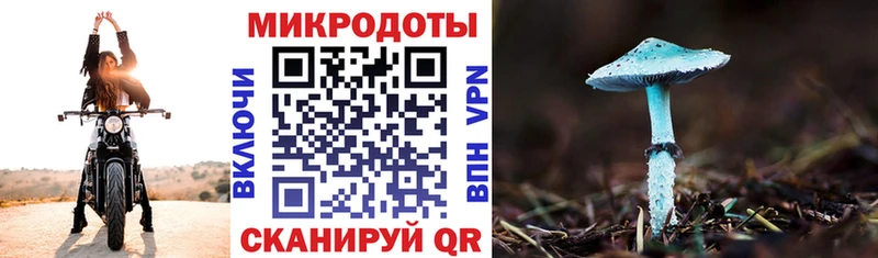 продажа наркотиков гидра Галлюциногенные грибы Psilocybe Краснотурьинск